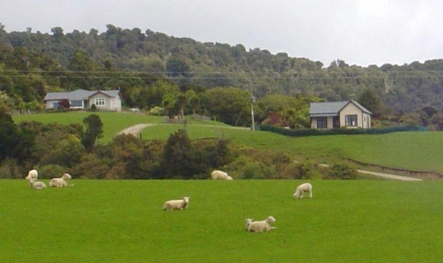 Hilltop Accommodation Catlins Papatowai Exteriör bild