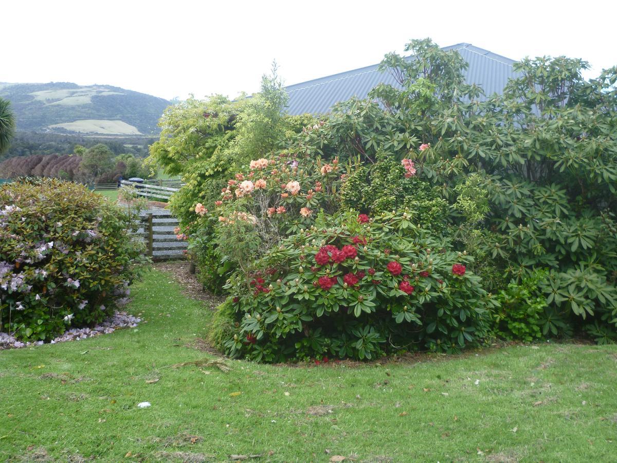 Hilltop Accommodation Catlins Papatowai Exteriör bild